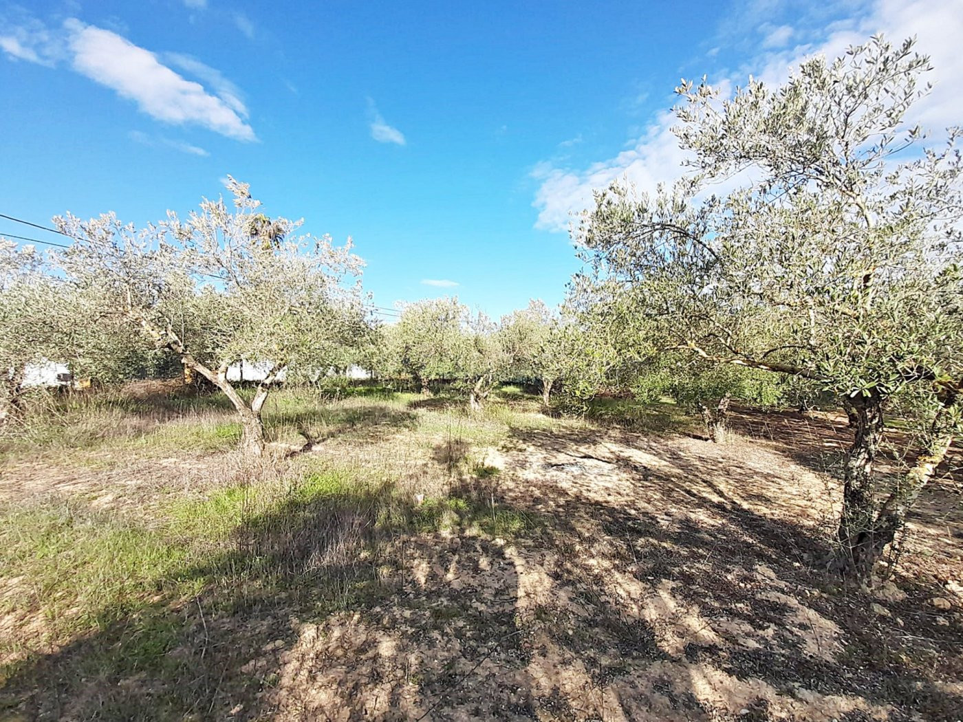Terreno rural en venta - pedanias - foto 3