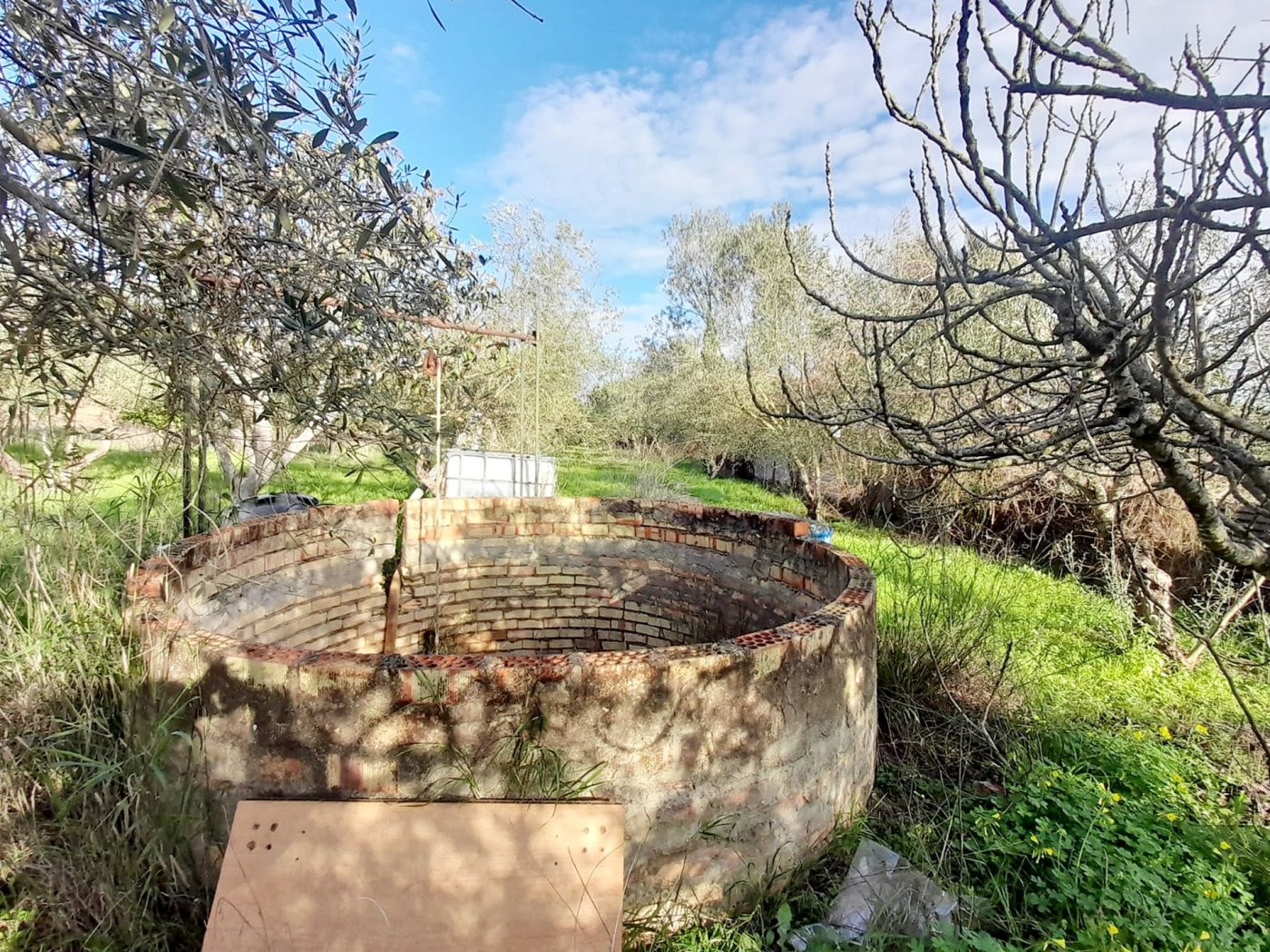 Terreno rural en venta - pedanias - foto 4