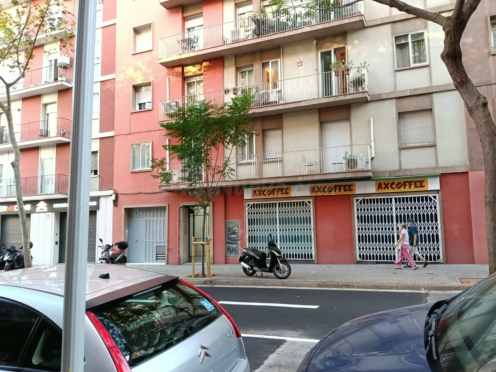 LOCAL CON DOBLE ESCAPARATE