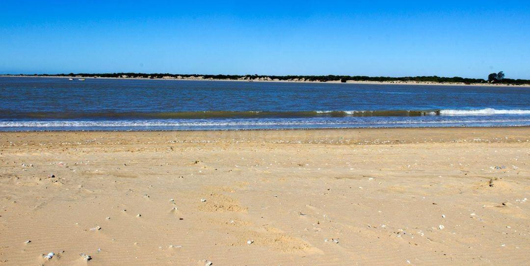 Fantástico Piso de 3 dormitorios con patio de 40 m a un paso del centro y de la playa por 254.900€