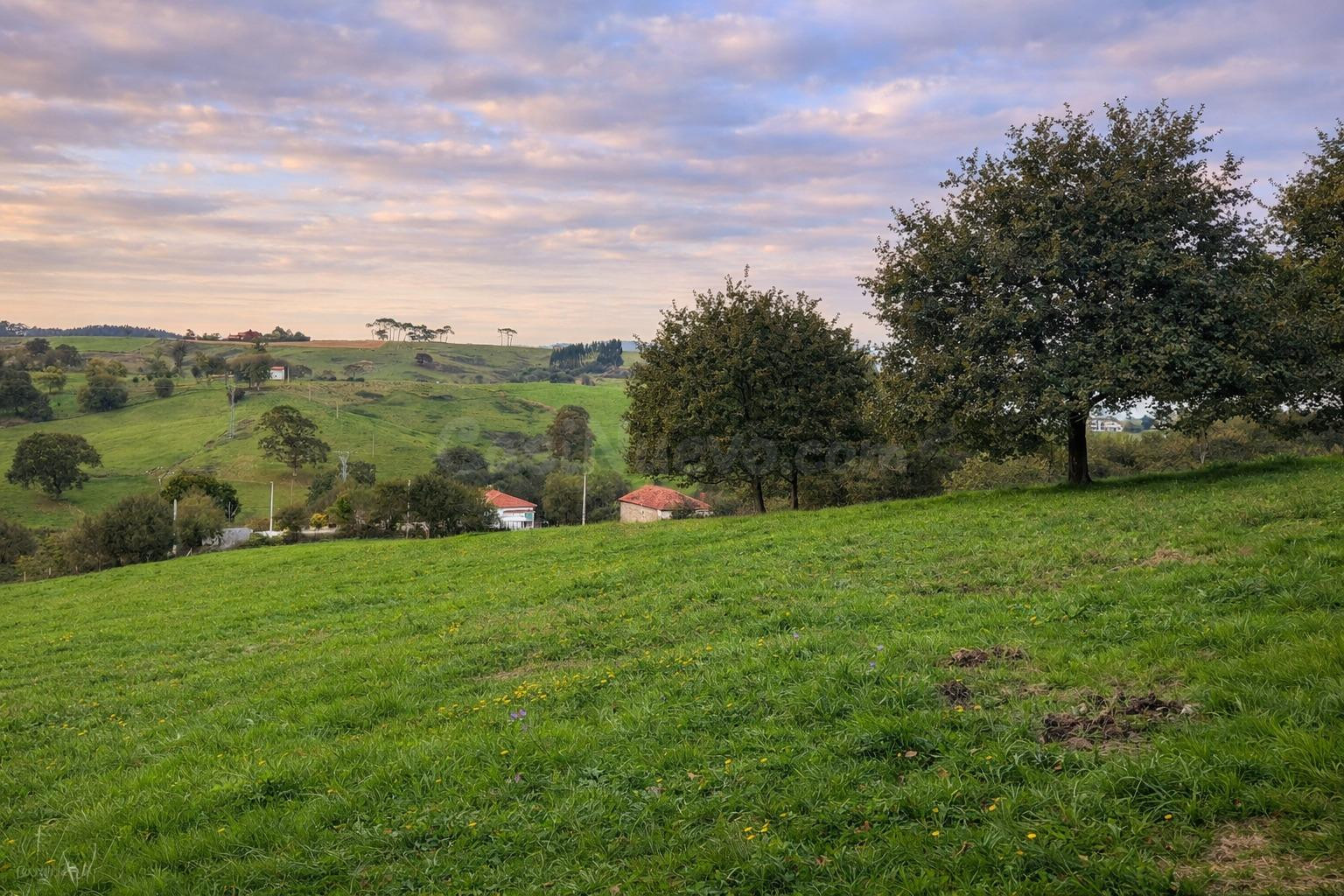 TERRENO RUSTICO EN RUISEÑADA. - foto 5