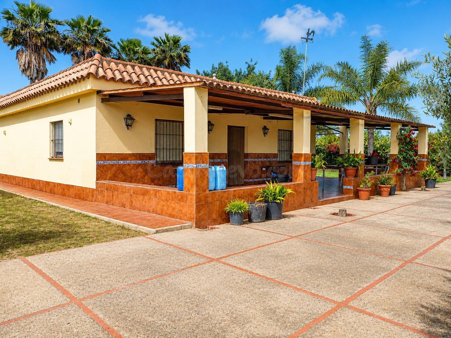 ¡¡¡PRECIOSA FINCA RÚSTICA DE RECREO CON CASA Y ÁRBOLES FRUTALES!!! - foto 2