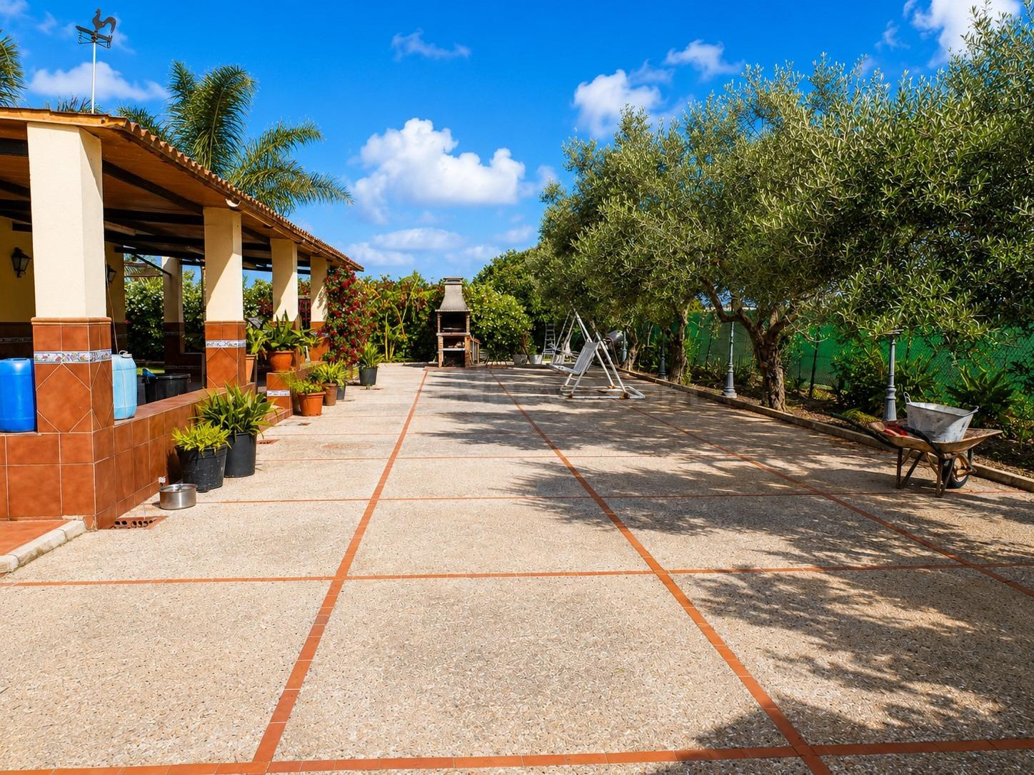 ¡¡¡PRECIOSA FINCA RÚSTICA DE RECREO CON CASA Y ÁRBOLES FRUTALES!!! - foto 5