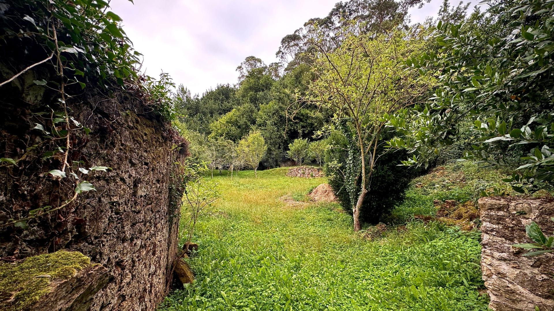Terreno Urbano en Novales Alfoz de Lloredo - foto 2