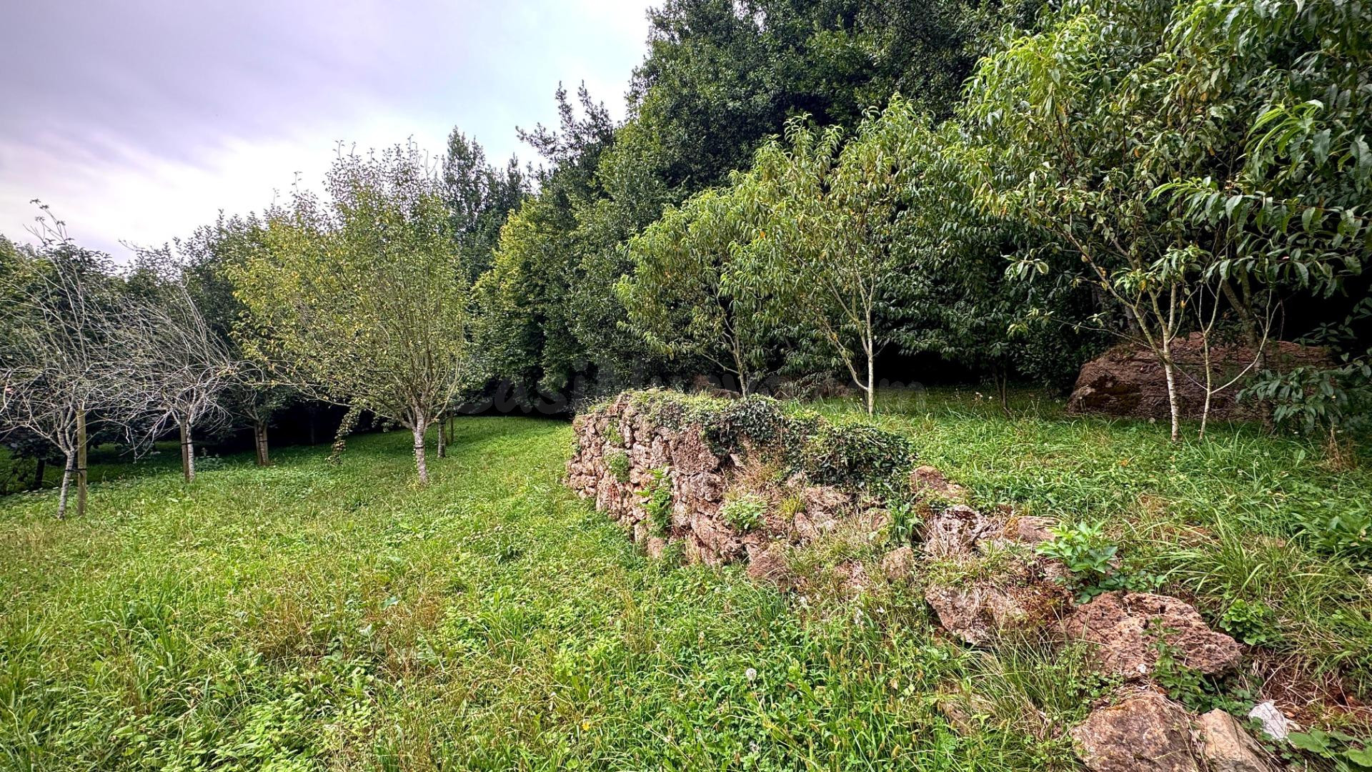 Terreno Urbano en Novales Alfoz de Lloredo - foto 3