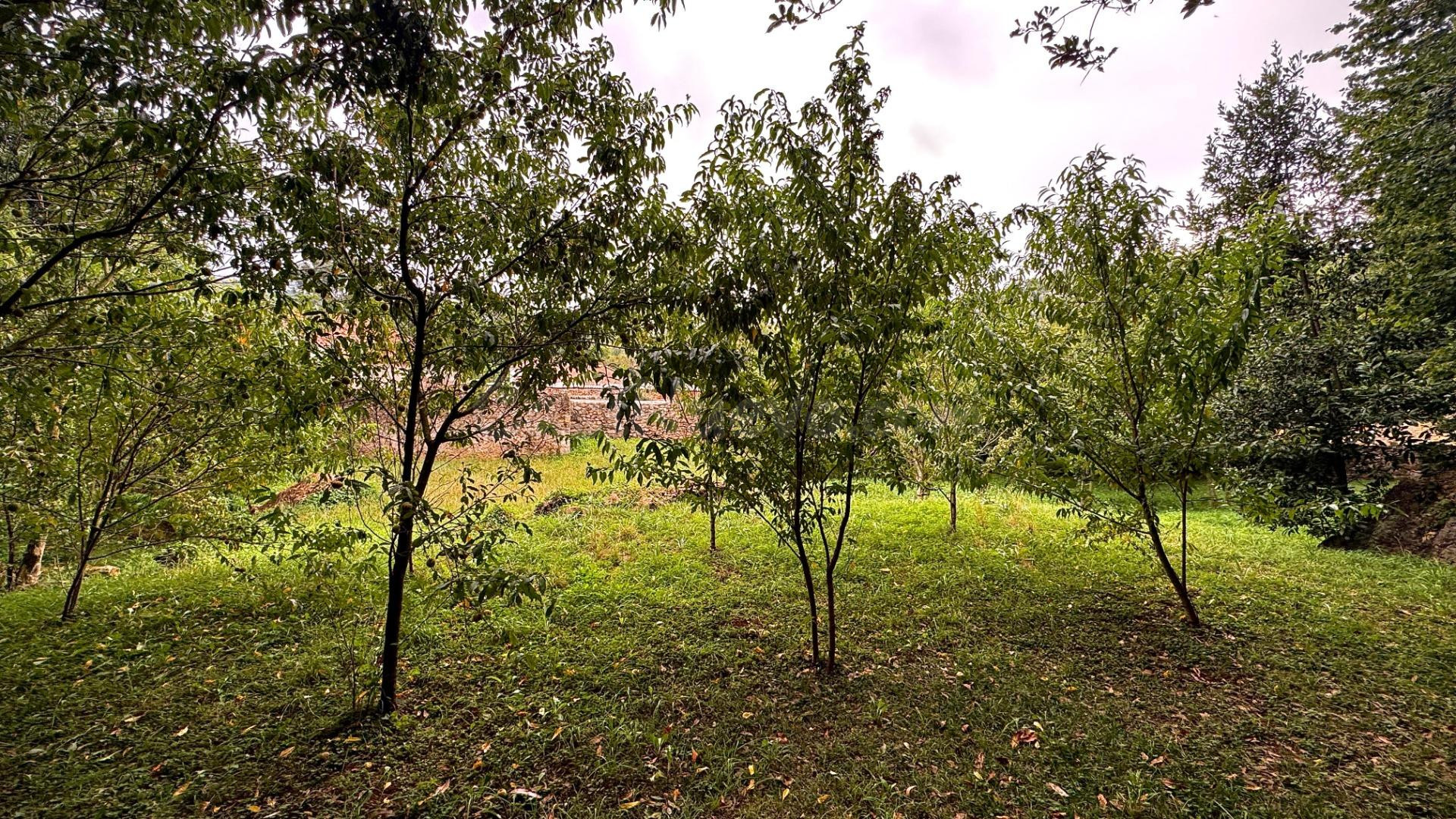 Terreno Urbano en Novales Alfoz de Lloredo - foto 4