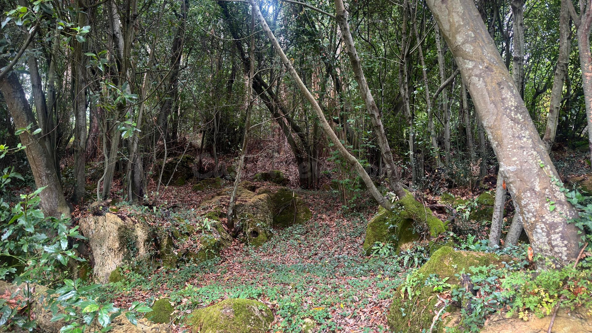 Terreno Urbano en Novales Alfoz de Lloredo - foto 5