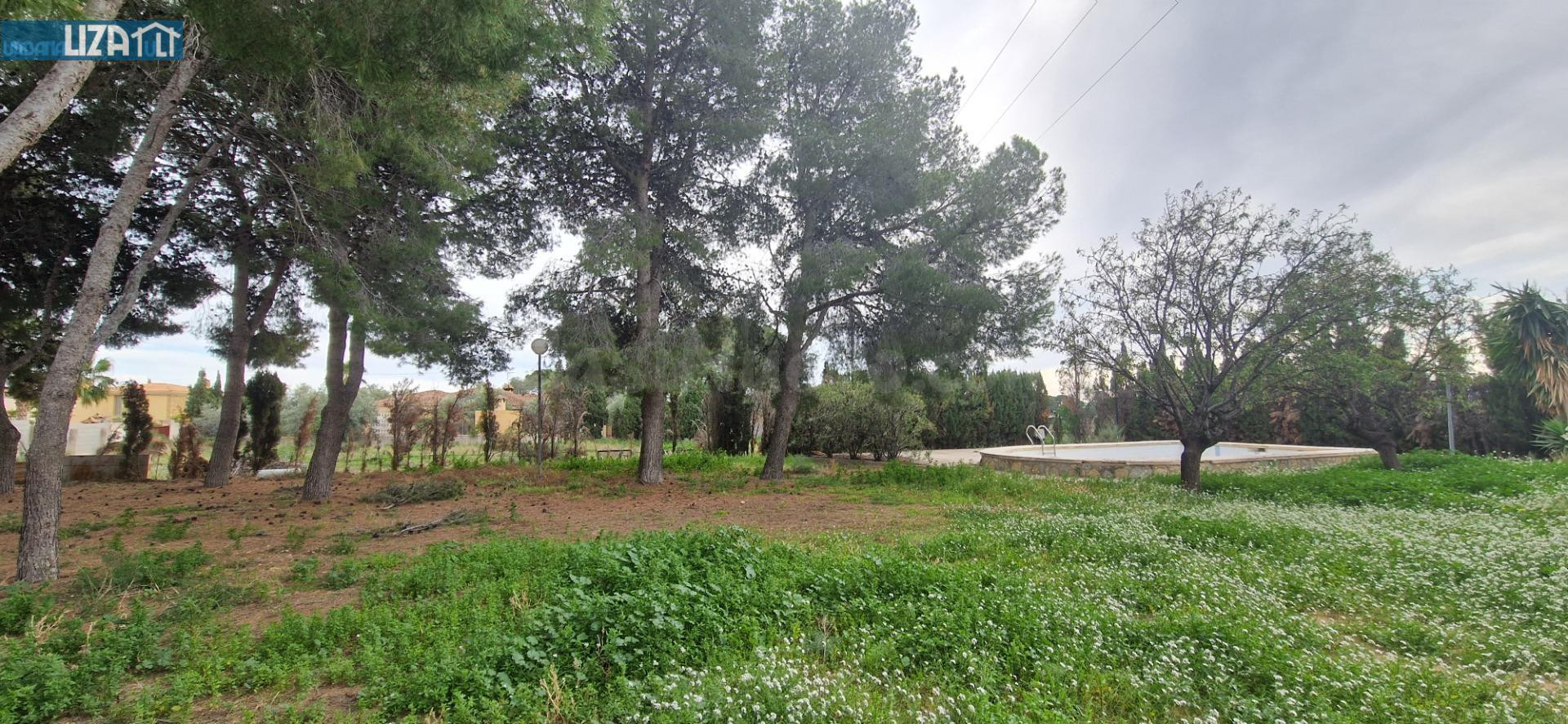 Terreno Urbano en Zona Residencial - San Vicente del Raspeig - foto 3