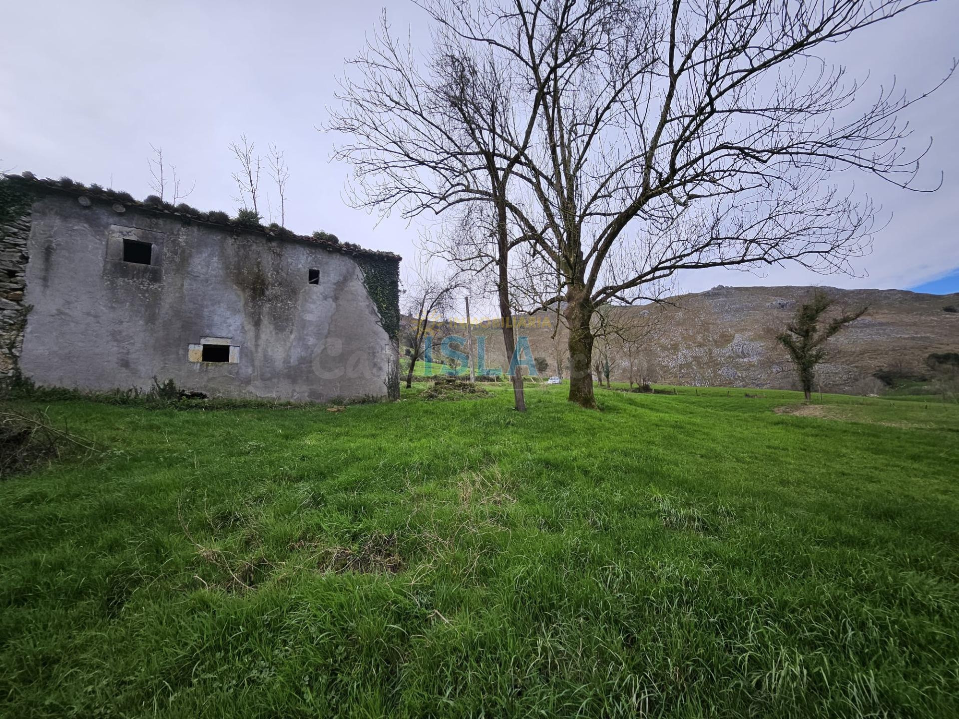 Cabaña para restaurar de 150 m2 y 22.000 m2 de Terreno - foto 3