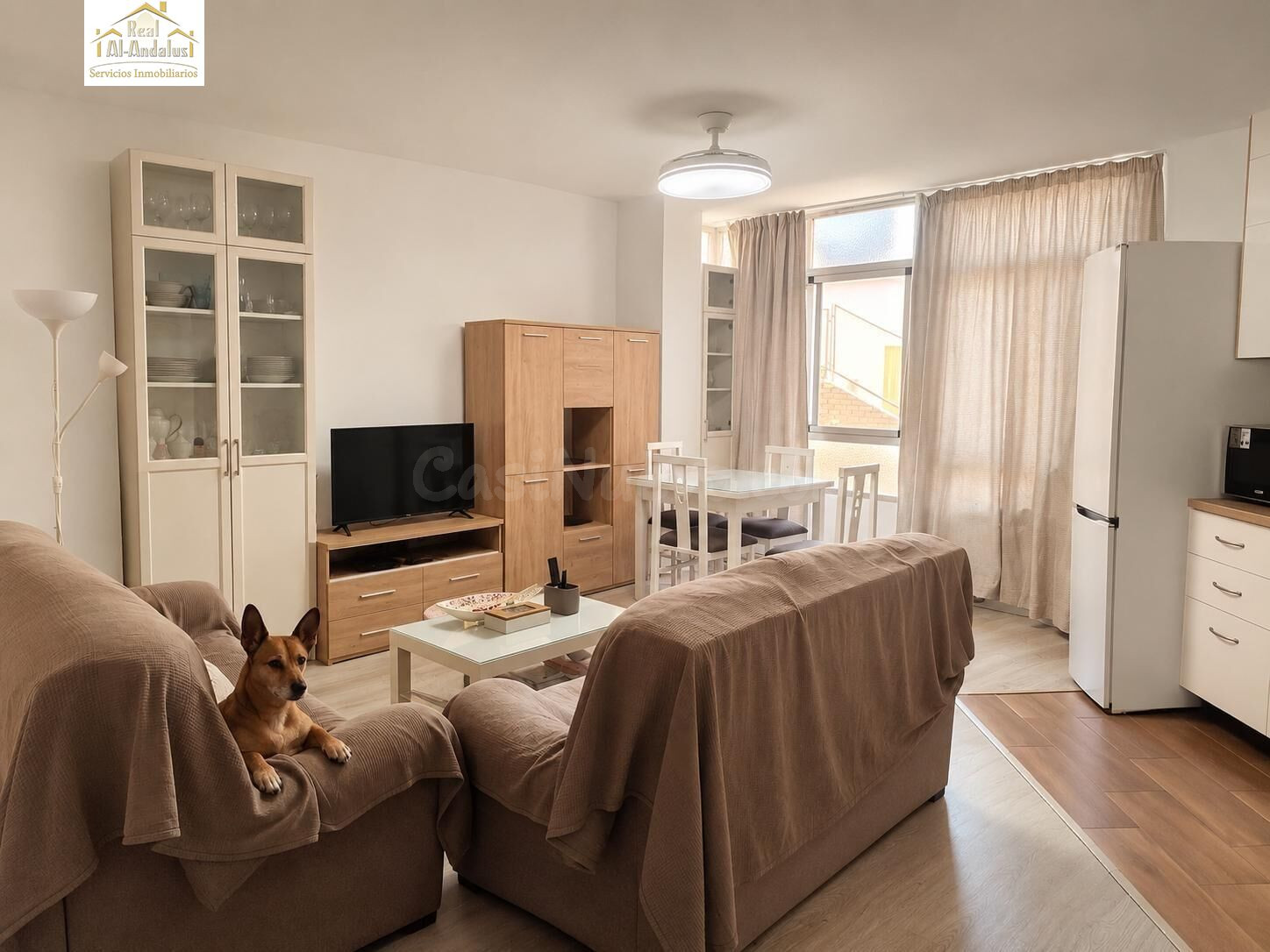 SE VENDE PISO EN CADIZ CAPITAL - foto 3