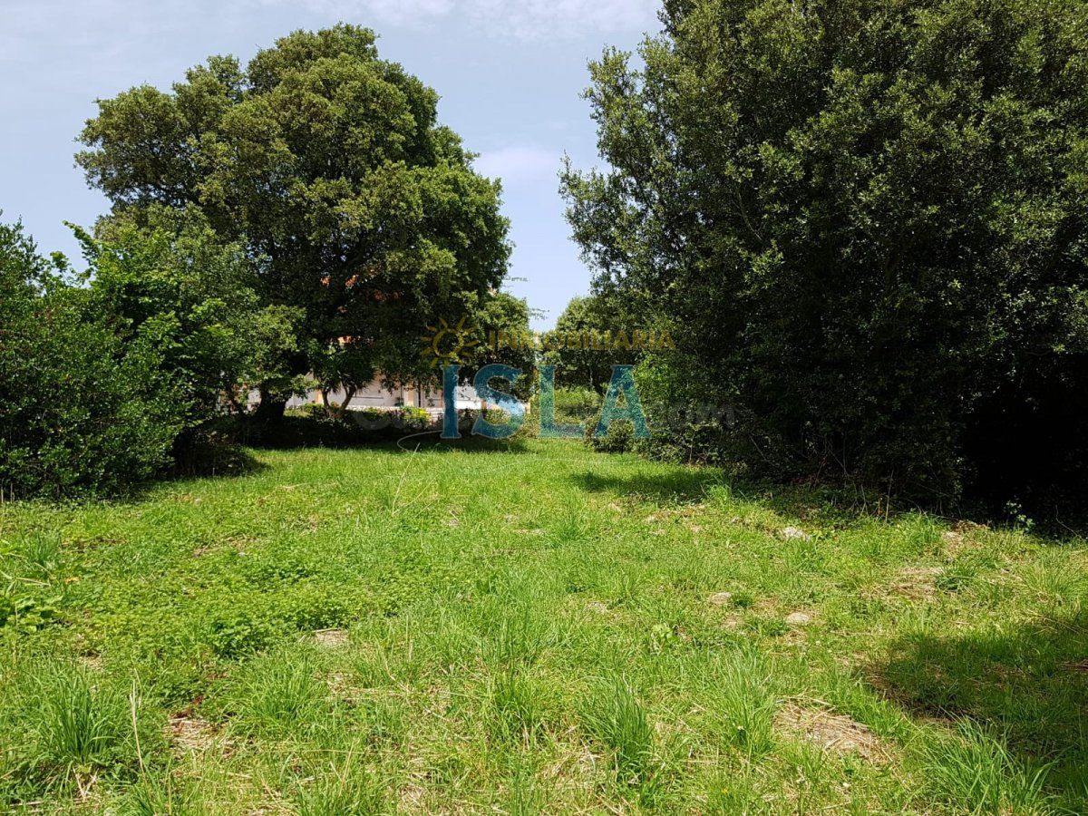 Terreno Urbano de 5.200 m2 en Arnuero a pocos km de las play - foto 5