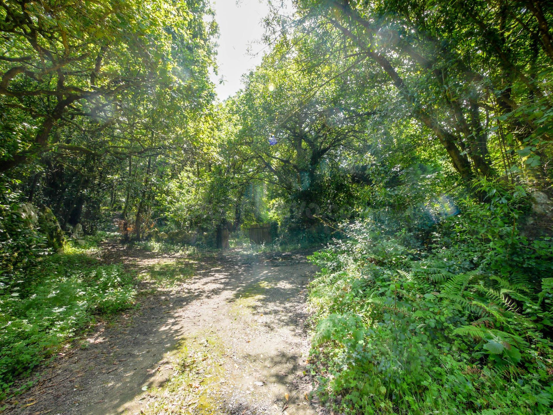 Terreno rústico en Isla – Naturaleza, tranquilidad y potencial