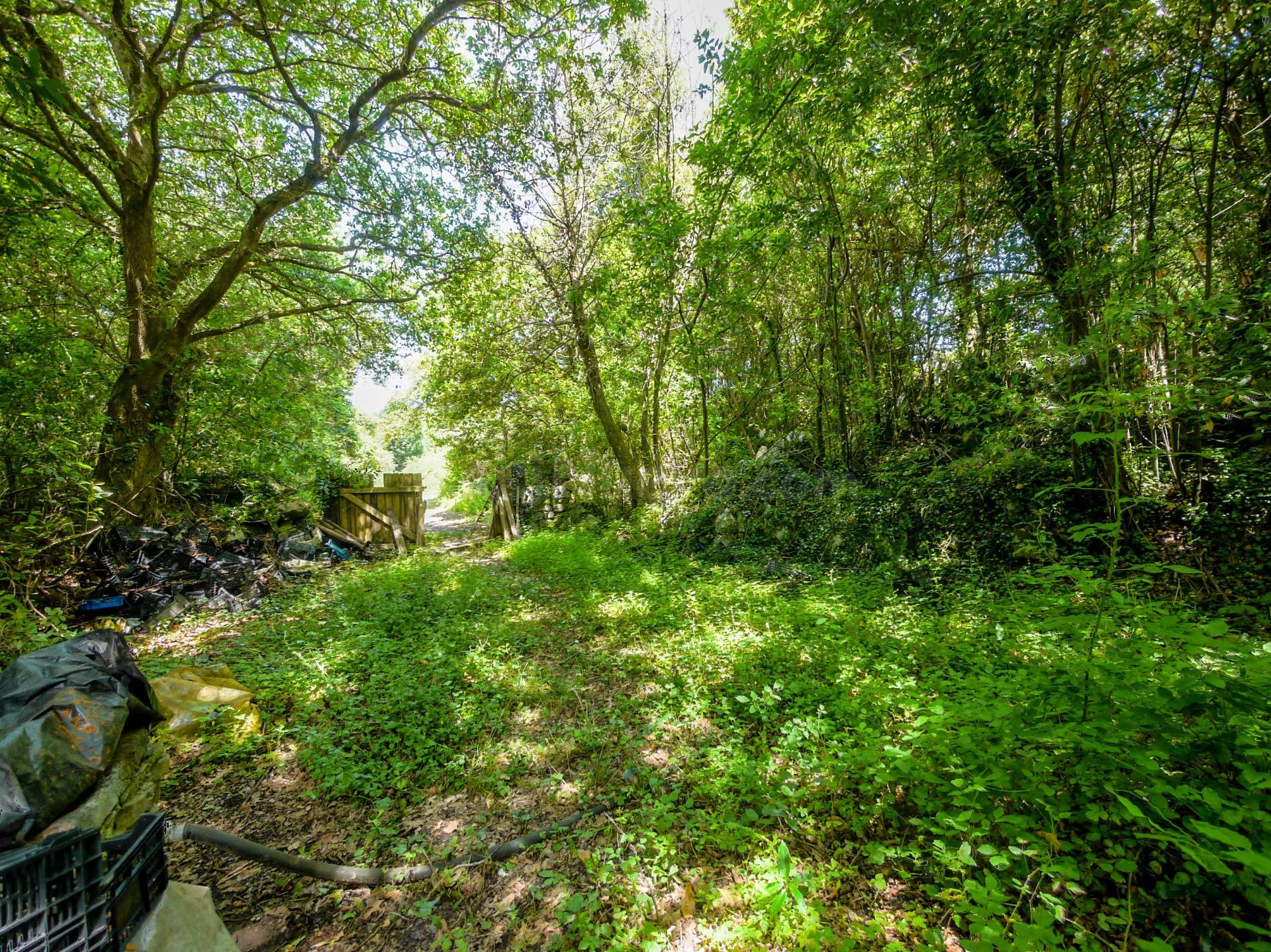 Terreno rústico en Isla – Naturaleza, tranquilidad y potencial - foto 2