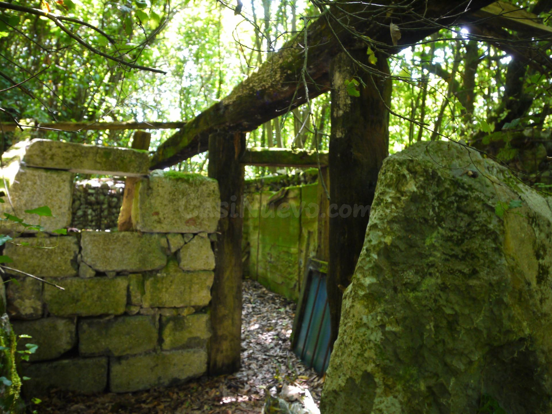 Terreno rústico en Isla – Naturaleza, tranquilidad y potencial - foto 4
