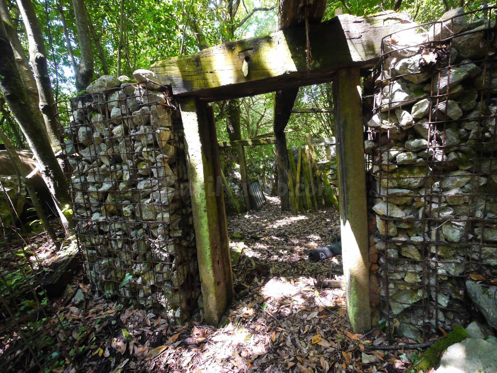 Terreno rústico en Isla – Naturaleza, tranquilidad y potencial - foto 5