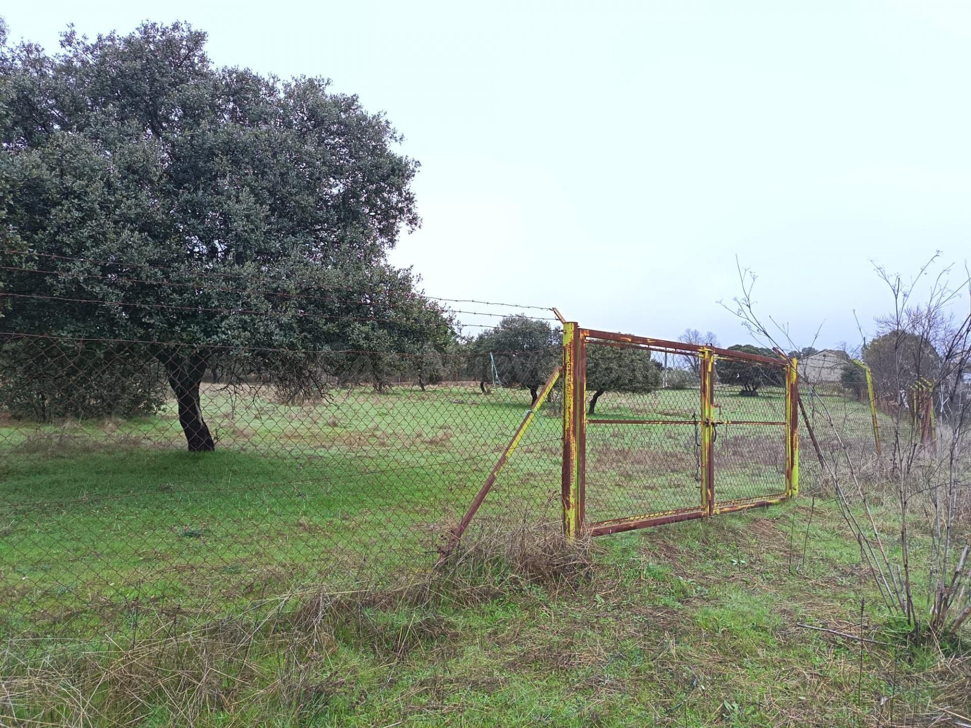 Parcela 5860m2 Urbana segregado para 25 Chalet + zona comercial - foto 3