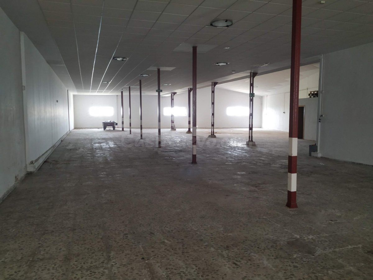 ALQUILER NAVE PRIMERA LINEA - foto 3