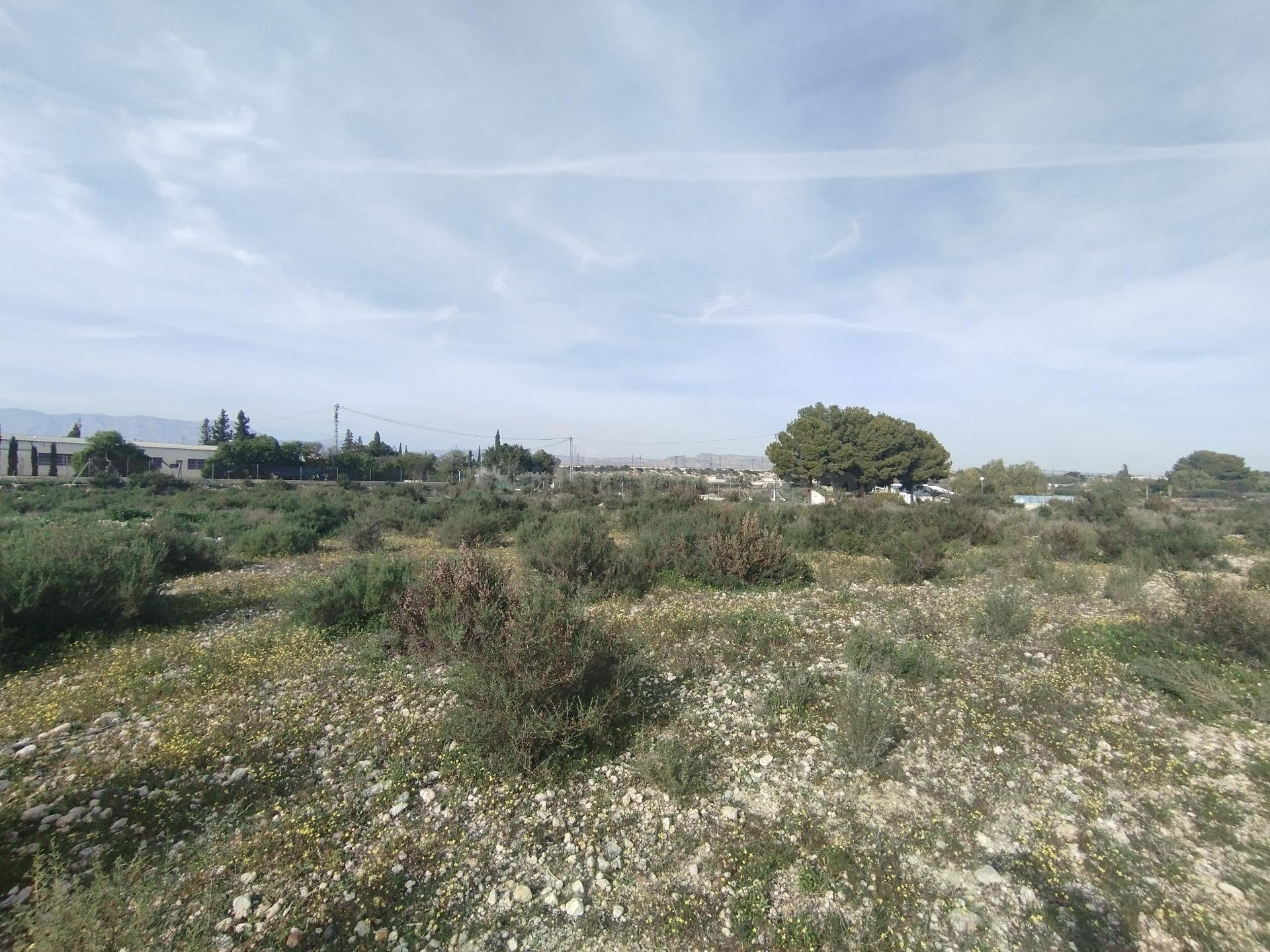 TERRENO EN MATOLA - PD BOCH - foto 3