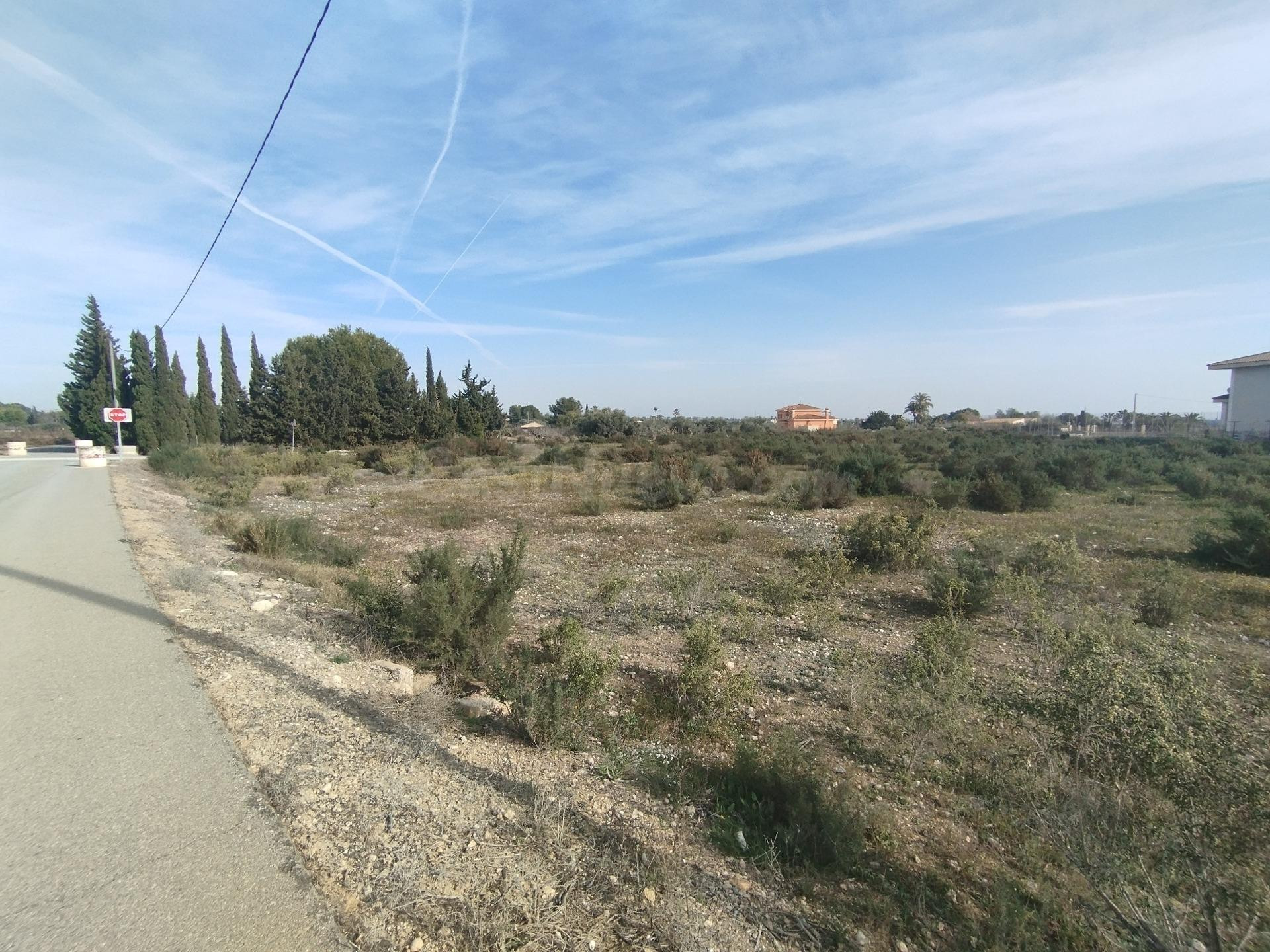 TERRENO EN MATOLA - PD BOCH - foto 5
