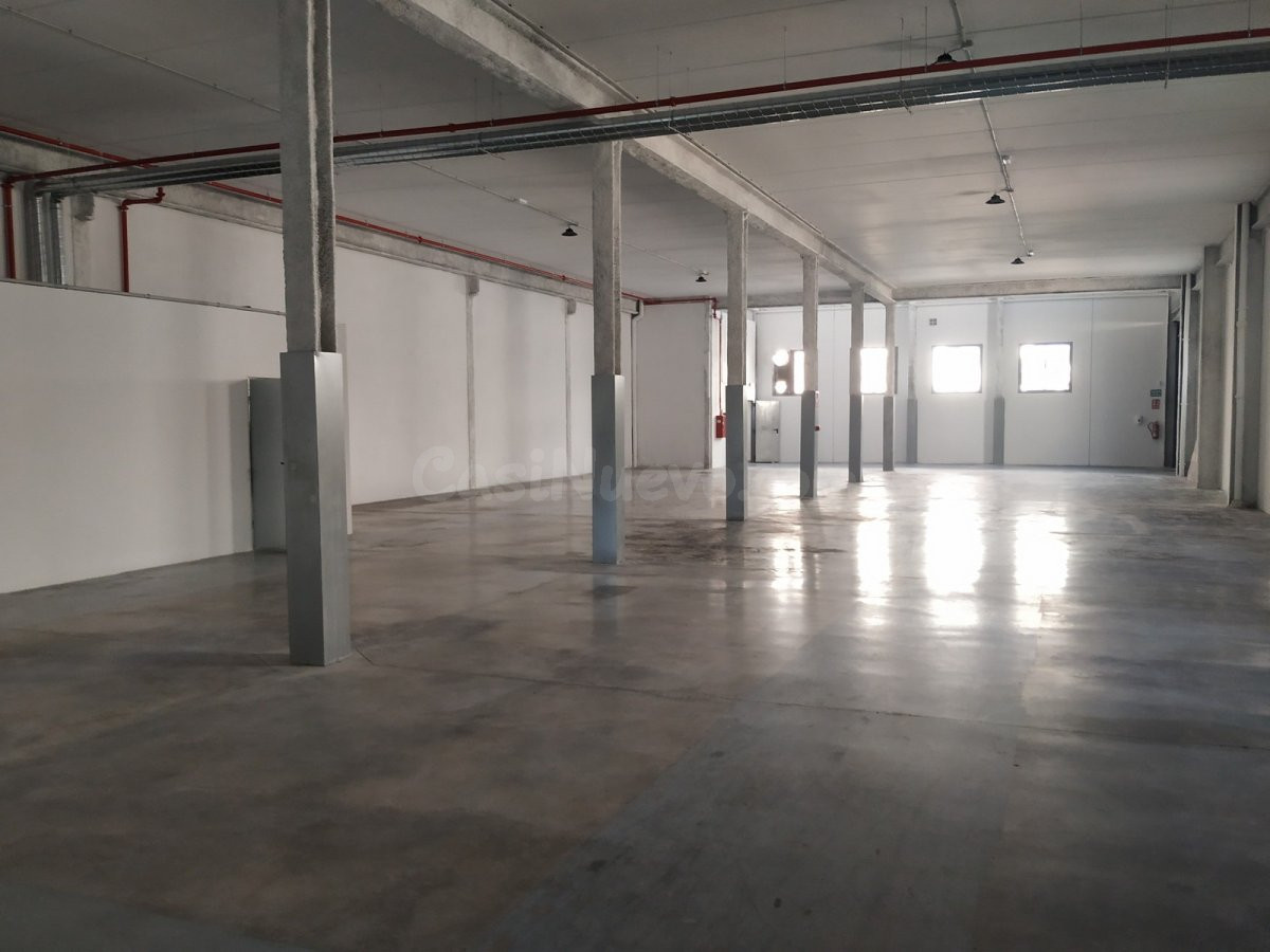 NAVE 1000 M2 POLIGONO BOCH CREVILLENTE - foto 2