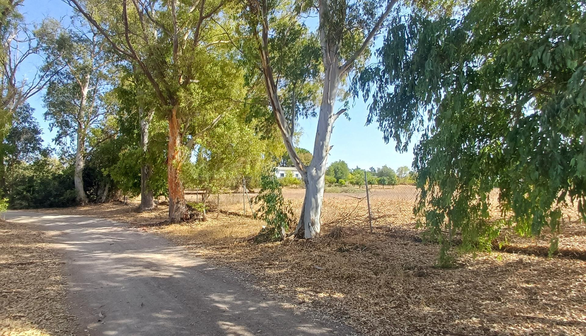 Finca rústica de regadío en Suelo Urbanizable No Sectorizado