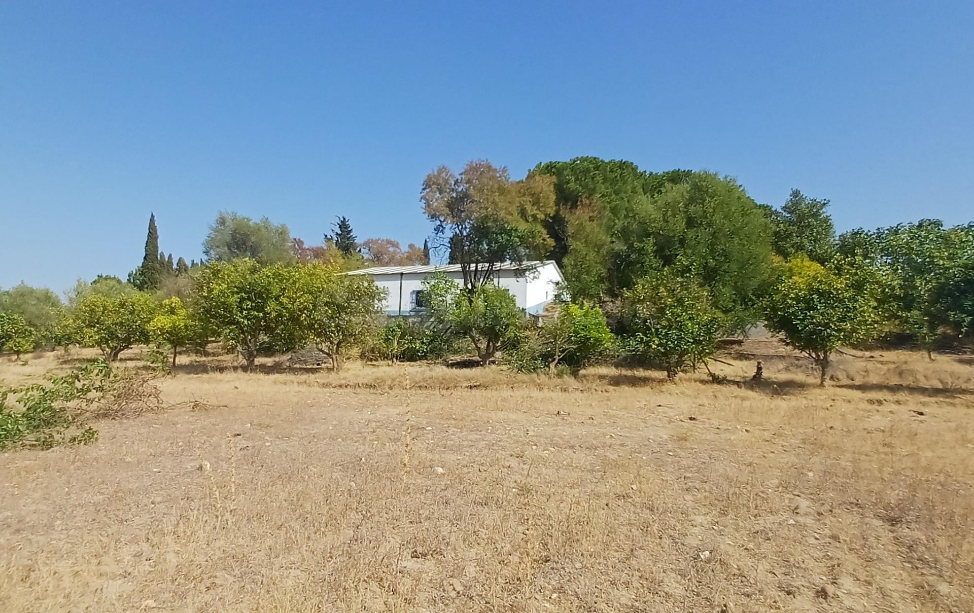 Finca rústica de regadío en Suelo Urbanizable No Sectorizado - foto 2