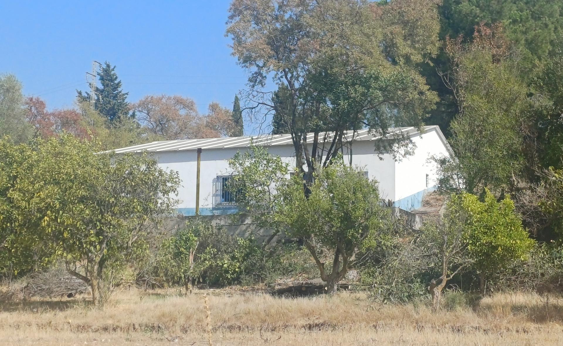 Finca rústica de regadío en Suelo Urbanizable No Sectorizado - foto 3