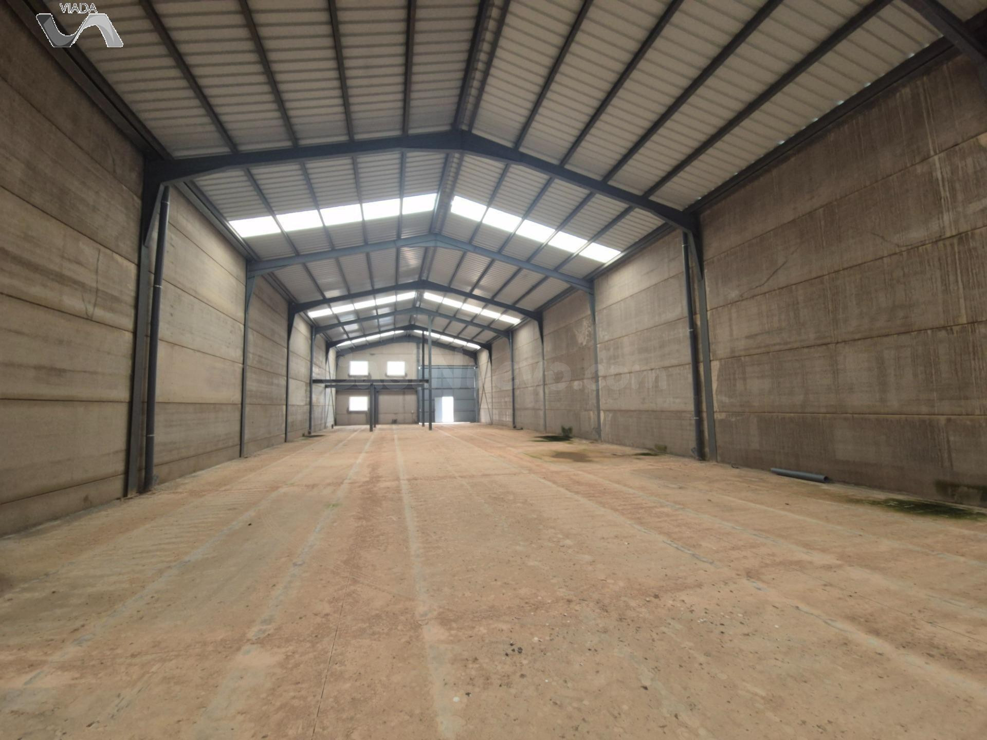 Nave industrial 325m² en alquiler - Las Mercedes - El Carmen - foto 3