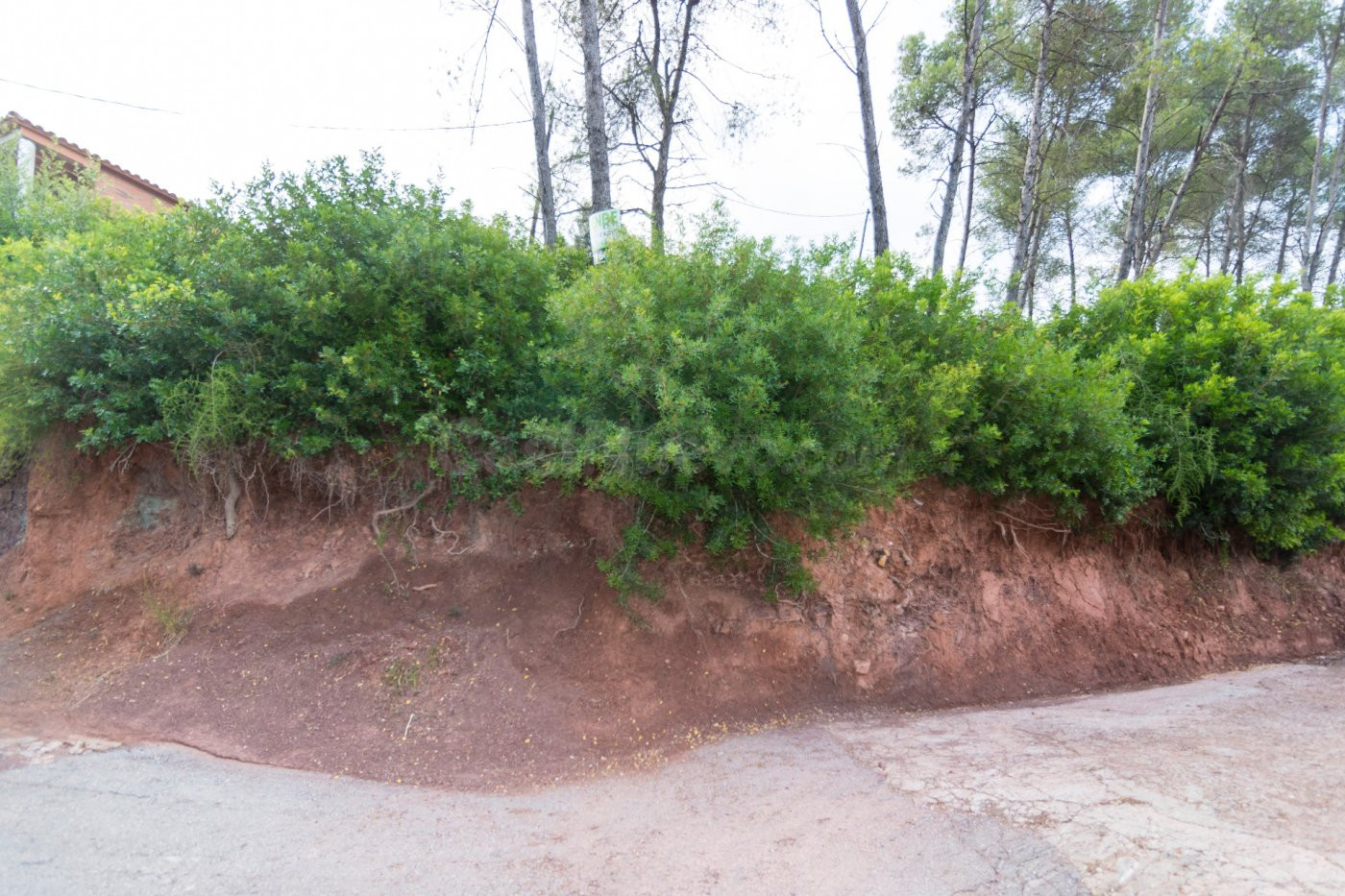 SUPER PRECIO!!! TERRENO EN VENTA EN CORBERA