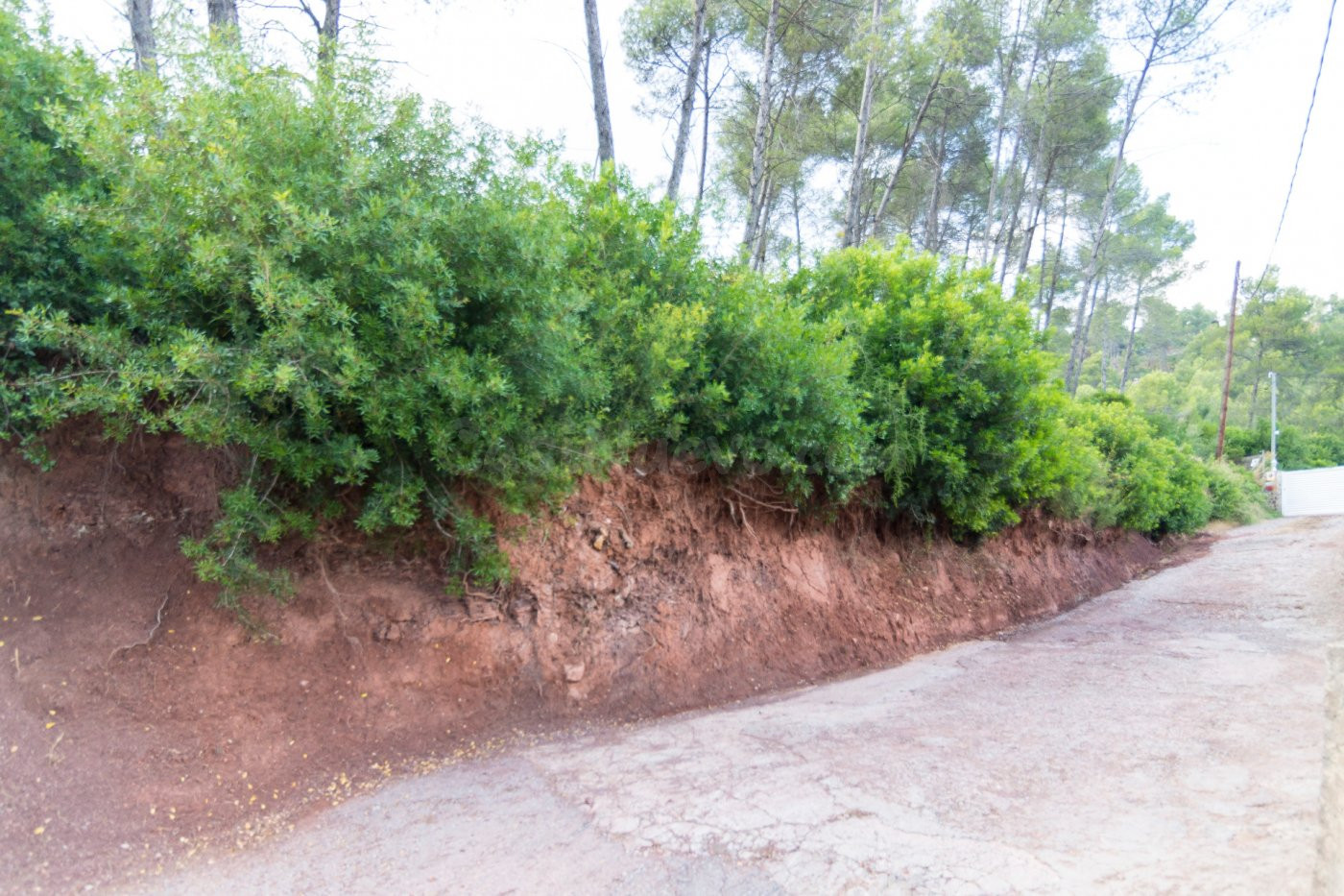 SUPER PRECIO!!! TERRENO EN VENTA EN CORBERA - foto 2