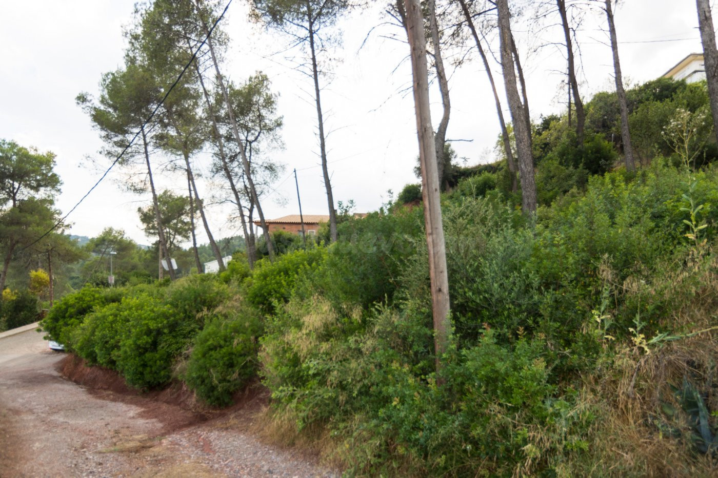 SUPER PRECIO!!! TERRENO EN VENTA EN CORBERA - foto 4