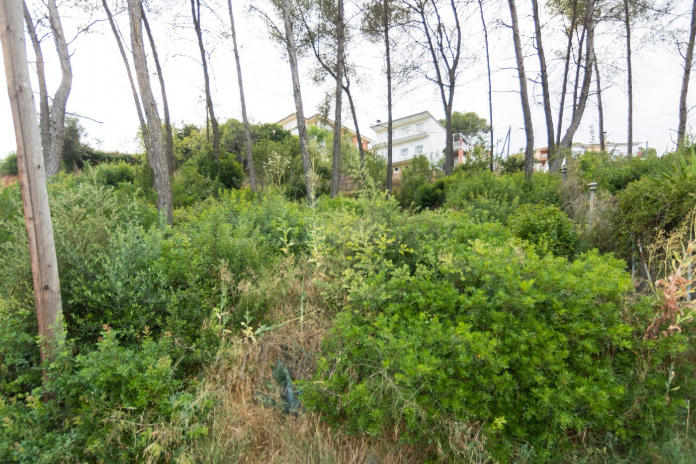 SUPER PRECIO!!! TERRENO EN VENTA EN CORBERA - foto 5