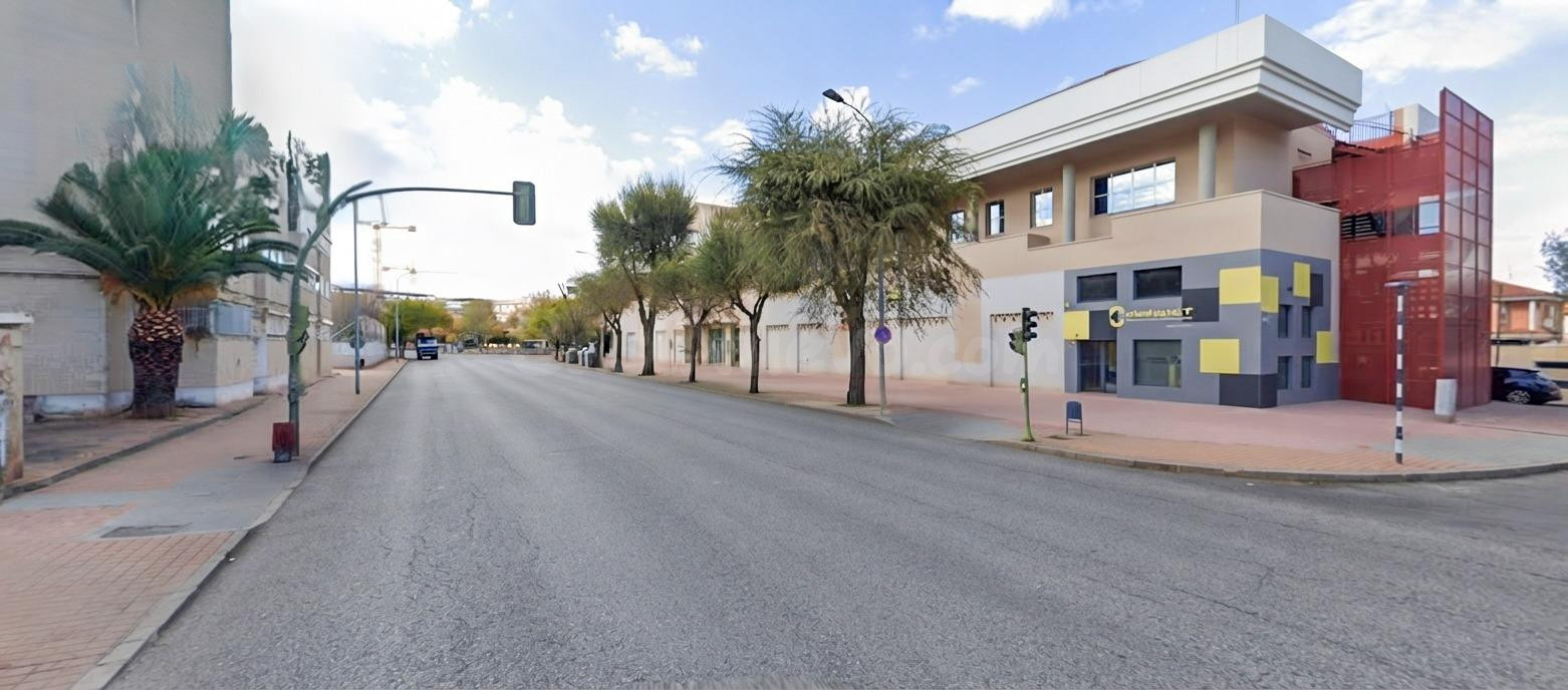 Local Comercial Calle Malagon - foto 2