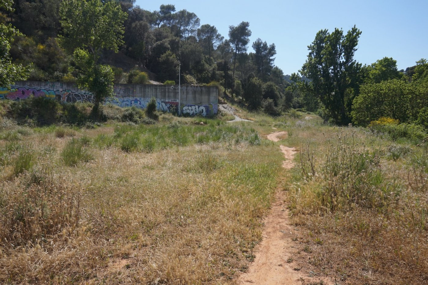 ¡Parcelas en La colonia! - foto 4