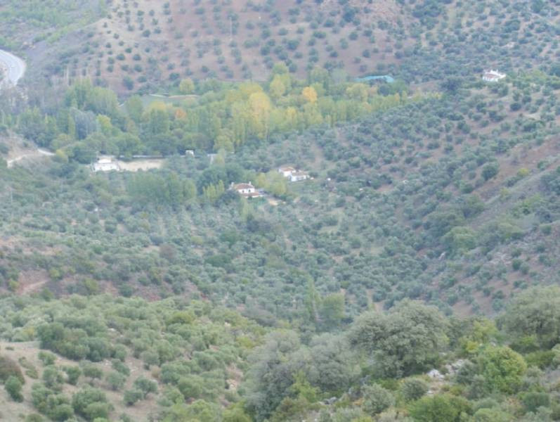 Venta de Finca con Camping en Sierra de Grazalema (Zahara) - foto 5