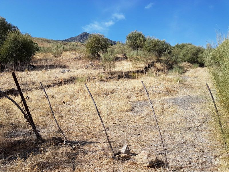 Venta de Finca en Grazalema, Sierra de Cádiz - foto 4