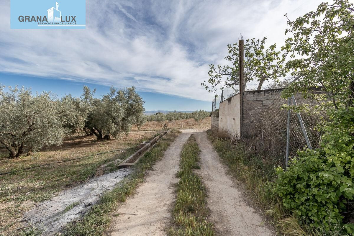 MAGNÍFICA PARCELA CERCANA A CTRA. DE URB. EL TORREÓN - foto 2