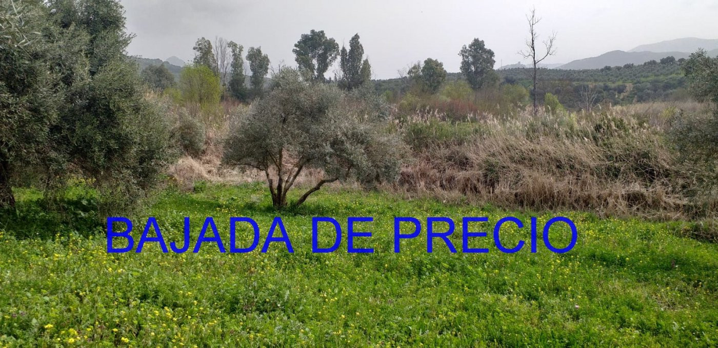 Se vende Parcela en Algodonales