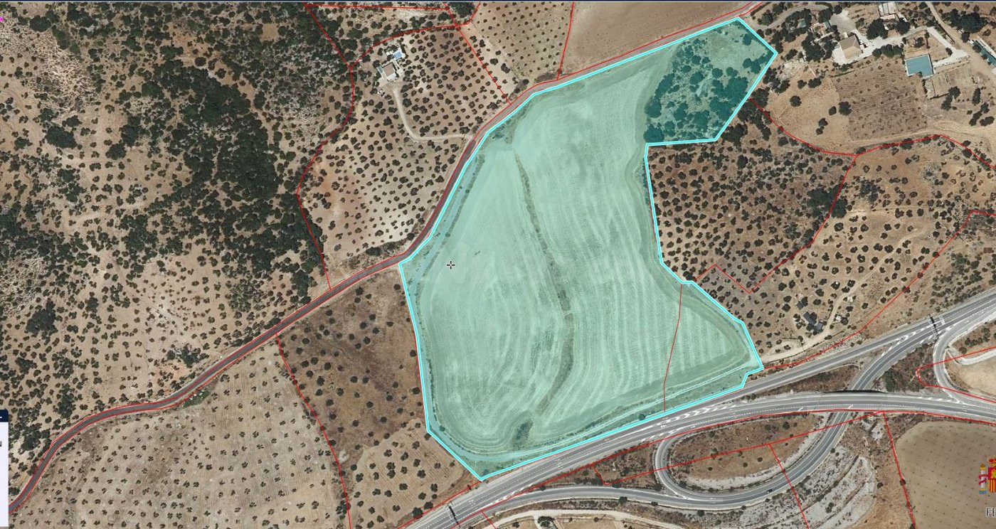 SE VENDE FINCA RUSTICA EN ALGODONALES - foto 2