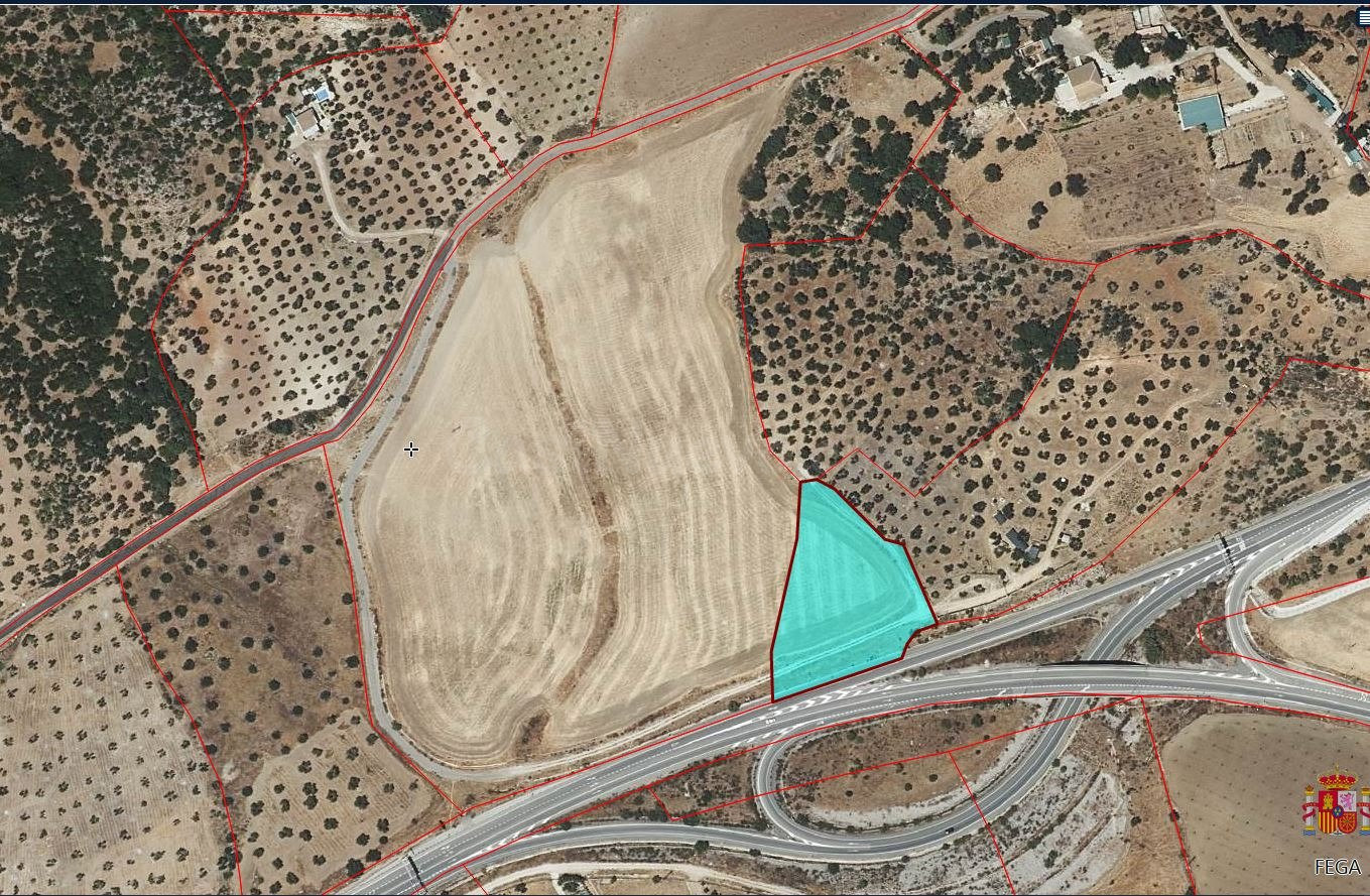 SE VENDE FINCA RUSTICA EN ALGODONALES - foto 4