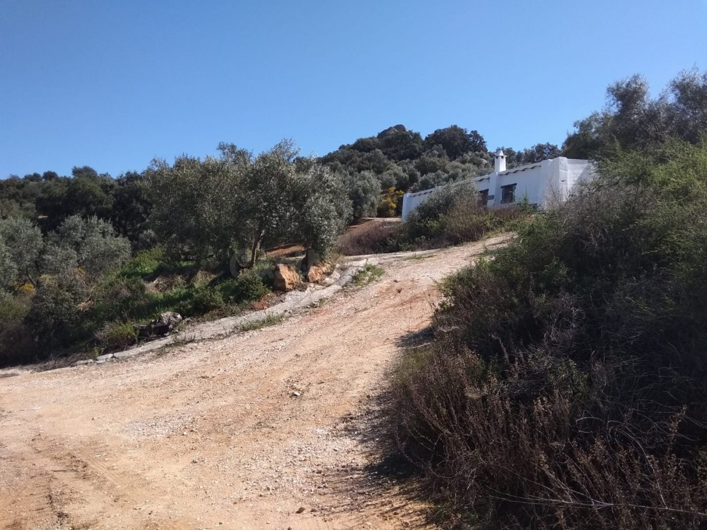 SE VENDE FINCA RUSTICA CON VIVIENDAS CERCA DE OLVERA - foto 2