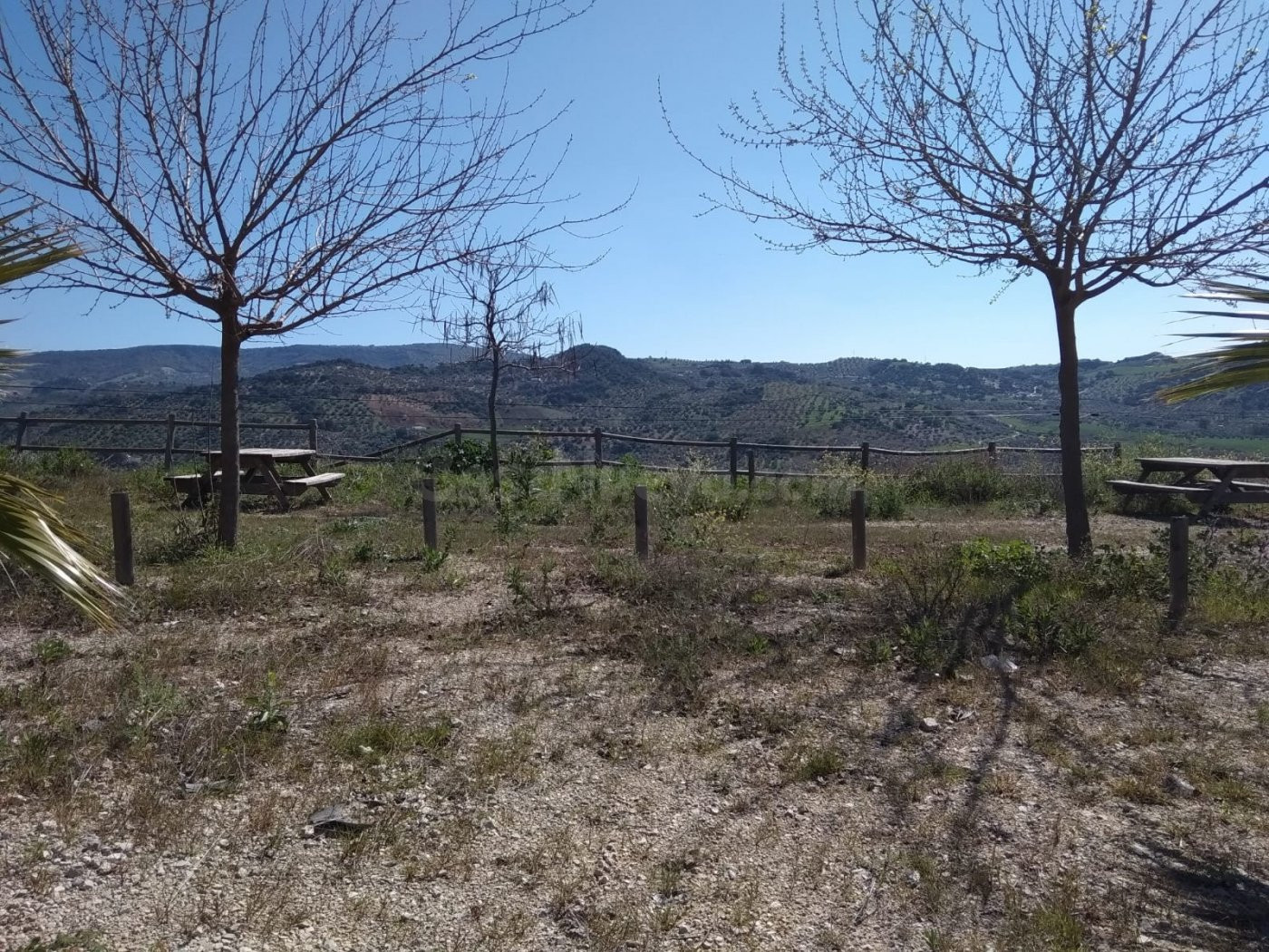 SE VENDE FINCA RUSTICA CON VIVIENDAS CERCA DE OLVERA - foto 4