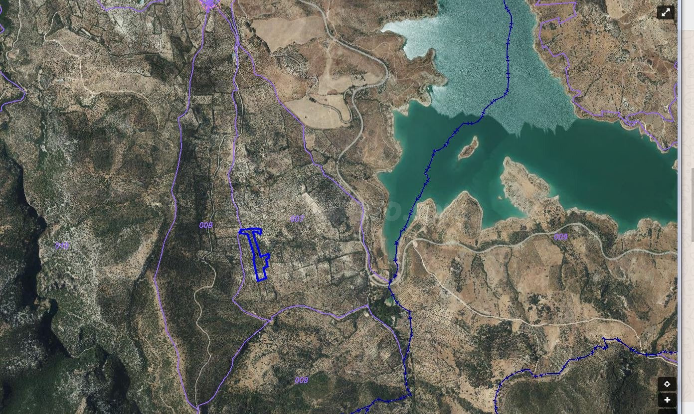 SE VENDE FINCA DE OLIVAR EN ZAHARA CON VISTAS AL LAGO - foto 4