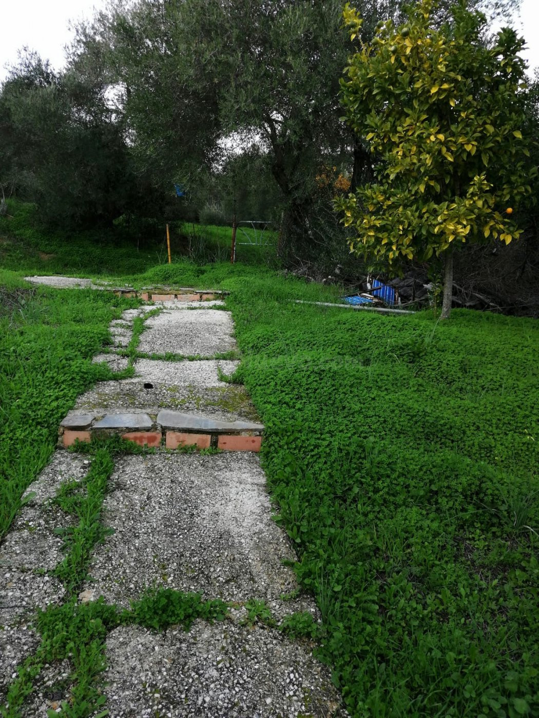 SE VENDE TERRENO CON CASA EN CORTES - foto 3