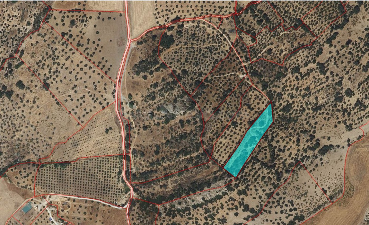 SE VENDE FINCA RUSTICA EN ALGODONALES - foto 2
