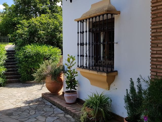 SE VENDE FINCA CON CASA RURAL EN JIMENA DE LA FRONTERA - foto 5