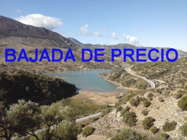 SE VENDE FINCA EN MONTECORTO CON VISTAS A SIERRA DE GRAZALEM