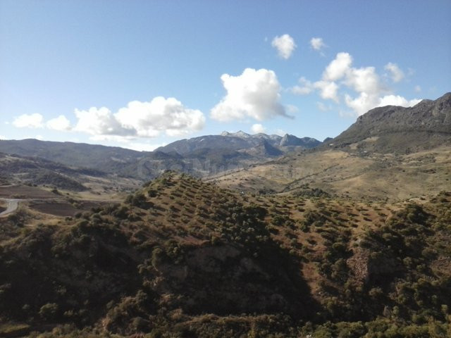 SE VENDE FINCA EN MONTECORTO CON VISTAS A SIERRA DE GRAZALEM - foto 3