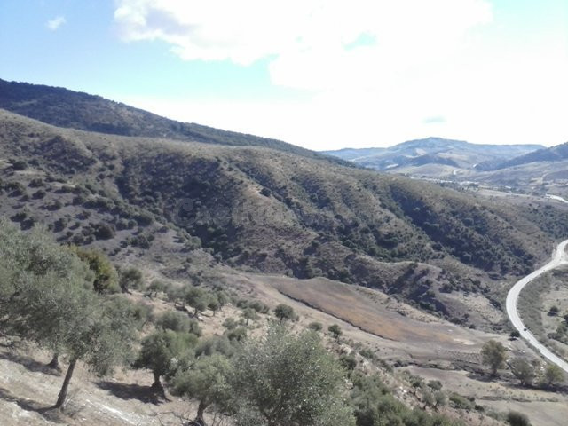 SE VENDE FINCA EN MONTECORTO CON VISTAS A SIERRA DE GRAZALEM - foto 4