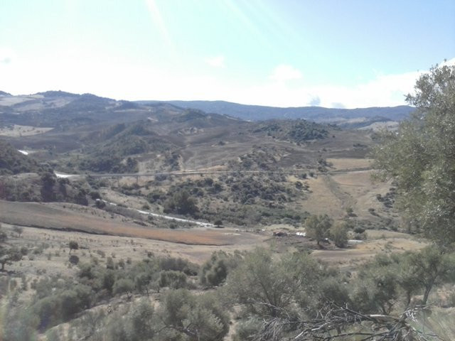 SE VENDE FINCA EN MONTECORTO CON VISTAS A SIERRA DE GRAZALEM - foto 5